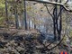 Sassello, incendio boschivo in località Chiapuzzo: bonifica in corso (FOTO)