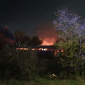 Alba, senza fissa dimora accendono il fuoco per scaldarsi, fiamme fuori controllo: sfiorato altro incendio al parco sul Tanaro Alba, senza fissa dimora accendono il fuoco per scaldarsi, fiamme fuori controllo: sfiorato altro incendio al parco sul Tanaro