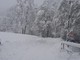 Giusvalla, sindaco Perrone: “50-60 cm di neve. La situazione sta diventando critica” Giusvalla, sindaco Perrone: “50-60 cm di neve. La situazione sta diventando critica”