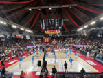 VARESE-SASSARI, la diretta. La disperazione Dinamo, l'ultima occasione Openjobmetis VARESE-SASSARI, la diretta. La disperazione Dinamo, l'ultima occasione Openjobmetis