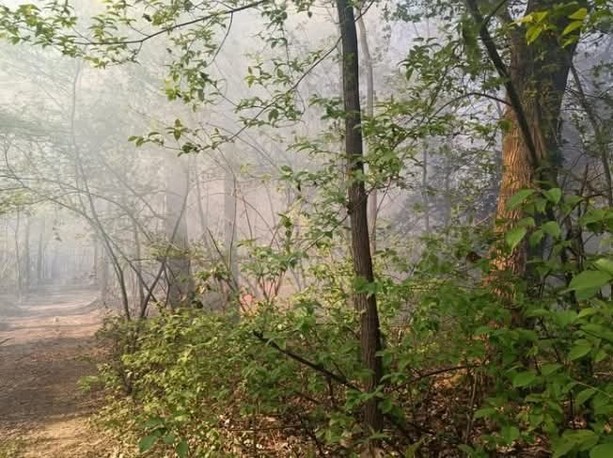 Vento e incendi nel Varesotto, in fiamme i boschi di Vergiate