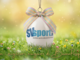 Buona Pasqua a tutti i lettori di Svsport.it! Buona Pasqua a tutti i lettori di Svsport.it!
