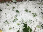 Temporali in arrivo sulla Liguria, scatta l’attenzione per grandine oltre i 2 centimetri e forti raffiche di vento Temporali in arrivo sulla Liguria, scatta l’attenzione per grandine oltre i 2 centimetri e forti raffiche di vento