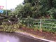 Nubifragio si abbatte sul Basso Varesotto, strade e sottopassi allagati, alberi caduti