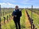 Eugenio Marangoni il cantore del vino varesino: «La vite era coltivata già in antichità sul nostro territorio, sulle sponde del Ticino e del lago Maggiore»