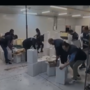 Sigarette di contrabbando, scoperti 7 siti clandestini con lavoratori schiavi: sequestrate 250 tonnellate di tabacchi, 8 arresti