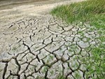 Emergenza siccità in Piemonte, Canalis attacca Cirio: "Solo due invasi realizzati dal 2019, servono interventi urgenti"