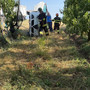 Saluzzo: auto piomba a tutta velocità in un frutteto dove è in corso la raccolta frutta e si ribalta tra i filari Saluzzo: auto piomba a tutta velocità in un frutteto dove è in corso la raccolta frutta e si ribalta tra i filari