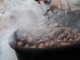 Ultimo weekend di ottobre: tra tartufi, castagne e aperture speciali nella provincia cuneese