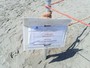 Dramma sulla spiaggia di Andora, sono il bagnino savonese Fabrizio Valente e il cuneese Luigi Fasano le due vittime