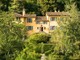 Mentone, la Serre de la Madone trasforma lo sguardo in esperienza: ai Rendez-vous aux jardins 2026 il capolavoro di Lawrence Johnston (Foto) Mentone, la Serre de la Madone trasforma lo sguardo in esperienza: ai Rendez-vous aux jardins 2026 il capolavoro di Lawrence Johnston (Foto)