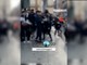 Rissa tra ragazzini in piazza Castello: lancio di oggetti e insulti vicino alle "statue" (VIDEO) Rissa tra ragazzini in piazza Castello: lancio di oggetti e insulti vicino alle "statue" (VIDEO)