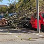 Vento forte a Cuneo: albero si schianta su un'auto parcheggiata