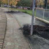 Cassonetti e rifiuti incendiati, un'altra notte da incubo per piazza Livio Bianco Cassonetti e rifiuti incendiati, un'altra notte da incubo per piazza Livio Bianco