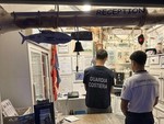 Alassio, controlli della Guardia Costiera al porto: sequestrati 60 chili di pesce senza tracciabilità