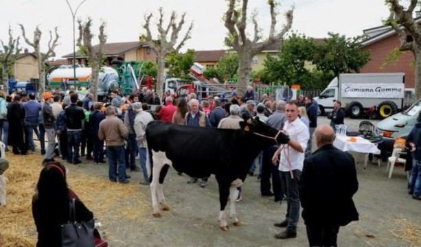 Per LatteforMaggio arrivano a Scalenghe anche le Abarth, i trattori e ‘cacciatori’ di Big Bench Per LatteforMaggio arrivano a Scalenghe anche le Abarth, i trattori e ‘cacciatori’ di Big Bench