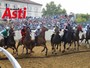 Il Palio accende Asti: rioni e borghi scaldano la settimana della corsa Il Palio accende Asti: rioni e borghi scaldano la settimana della corsa