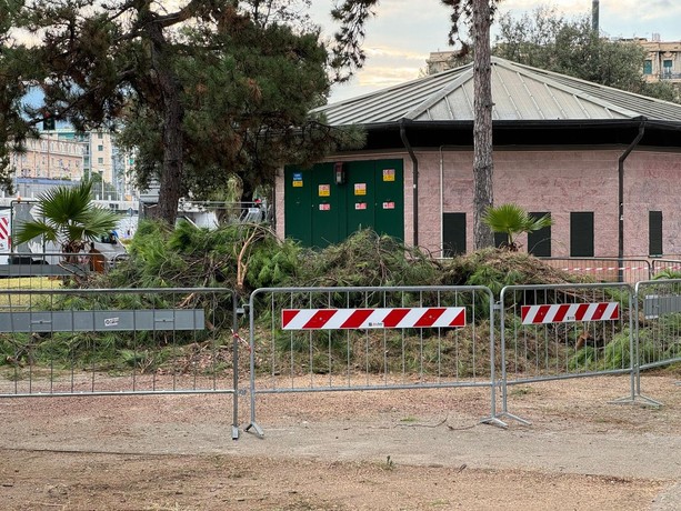Piano del Verde, il centrodestra perde i pezzi: l’opposizione blocca l’ultimo colpo di coda di fine mandato