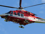 Pra', cade da un albero e muore: vittima un uomo di 62 anni Pra', cade da un albero e muore: vittima un uomo di 62 anni