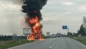 A fuoco un mezzo pesante carico di galline sulla provinciale 662 tra Roreto e Marene