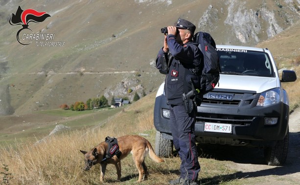 Reati ambientali: la Granda è la peggiore del Piemonte, con una crescita del 61%