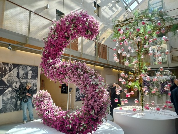 Sanremo si veste di petali: parte il Festival dei Fiori 2026 (Foto e video)