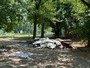 Discariche abusive e fumi tossici, allarme al Parco della Confluenza: "Situazione gravissima" Discariche abusive e fumi tossici, allarme al Parco della Confluenza: "Situazione gravissima"