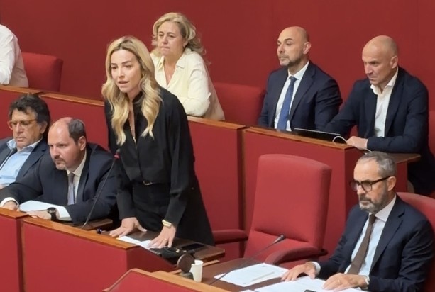 Sicurezza, è ancora scontro in consiglio comunale. Salis alla minoranza: "Non fate gli avvoltoi scaricando sul Comune un problema endemico nel Paese" Sicurezza, è ancora scontro in consiglio comunale. Salis alla minoranza: "Non fate gli avvoltoi scaricando sul Comune un problema endemico nel Paese"