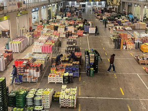 Mercato ortofrutticolo, la Lega porta il caso in Comune: "Tuteliamo i negozi di vicinato e la viabilità della delegazione" Mercato ortofrutticolo, la Lega porta il caso in Comune: "Tuteliamo i negozi di vicinato e la viabilità della delegazione"
