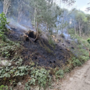 Denunciato volontario Aib: è ritenuto responsabile di nove incendi boschivi dolosi appiccati tra Monregalese e Valle Pesio Denunciato volontario Aib: è ritenuto responsabile di nove incendi boschivi dolosi appiccati tra Monregalese e Valle Pesio