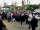 Per LatteforMaggio arrivano a Scalenghe anche le Abarth, i trattori e ‘cacciatori’ di Big Bench Per LatteforMaggio arrivano a Scalenghe anche le Abarth, i trattori e ‘cacciatori’ di Big Bench