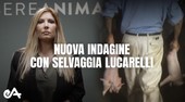 Maiali maltrattati in un allevamento della Granda? L’azienda multata dall’Asl ma la Procura archivia il caso