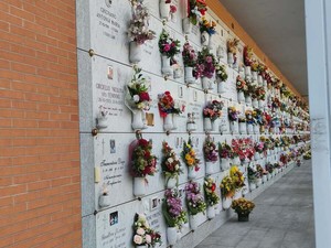 I soliti saccheggi al cimitero, i ladri portano via i pomelli in ottone dalle lapidi I soliti saccheggi al cimitero, i ladri portano via i pomelli in ottone dalle lapidi