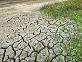 Emergenza siccità in Piemonte, Canalis attacca Cirio: "Solo due invasi realizzati dal 2019, servono interventi urgenti" Emergenza siccità in Piemonte, Canalis attacca Cirio: "Solo due invasi realizzati dal 2019, servono interventi urgenti"