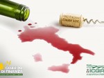 Falso vino Dop e Igp, la Guardia di Finanza colpisce le frodi in cantina