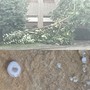 VIDEO. Grandine e vento piombano sul Bustese. Cade pianta davanti a Palazzo Gilardoni