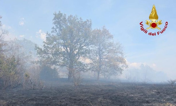 Bruciano i boschi a Meana di Susa: vigili del fuoco in azione da oggi pomeriggio, ma la missione non è semplice [FOTO]