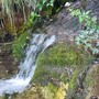 Crisi idrica nel Ponente, alle sorgenti dell’Argentina l’acqua è agli sgoccioli: il futuro sono gli invasi e acqua