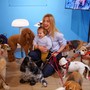 Elezioni comunali, Salis incontra le associazioni per il benessere animale: “Aree per cani e un gattile, è tempo di un piano concreto”