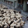 EVENTI / Festival della Montagna  e Quintessenza protagonisti nel weekend della Granda