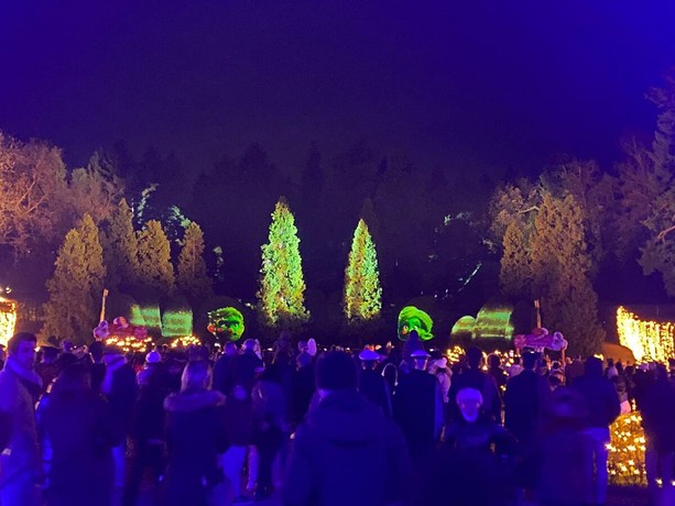 VIDEO e FOTO. Quella meraviglia degli elfi nel bosco: in seimila applaudono lo spettacolo di Natale ai Giardini Estensi
