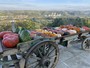 I frutti dell'autunno protagonisti di eventi e sagre in tutta la Granda