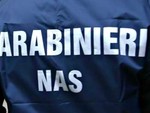 Topi morti nel magazzino: i Nas chiudono un supermercato