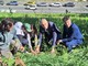 Dopo le polemiche in corso Belgio, Torino è più verde: 750 nuove piante lungo la Dora Riparia. Tresso: &quot;La città investe sulla natura&quot;