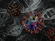 Coronavirus, 29 nuovi contagi a Torino, ma il numero dei ricoverati è in calo costante. Un decesso registrato oggi