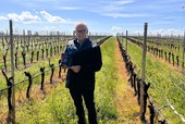 Eugenio Marangoni il cantore del vino varesino: «La vite era coltivata già in antichità sul nostro territorio, sulle sponde del Ticino e del lago Maggiore»