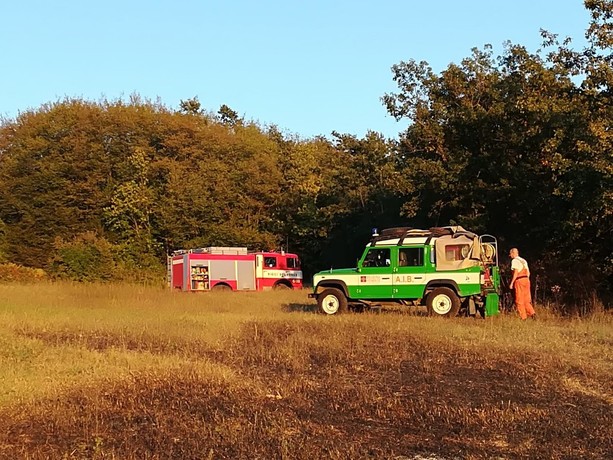 Vasto incendio tra Priero e Montezemolo: ingente dispiego di uomini e mezzi per domare le fiamme e mettere in sicurezza le case Vasto incendio tra Priero e Montezemolo: ingente dispiego di uomini e mezzi per domare le fiamme e mettere in sicurezza le case