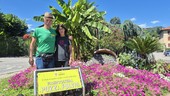 Il più bel biglietto da visita floreale di Varese. Fulvio e Patrizia e la loro passione sempre in fiore: così vive la Floricoltura Pozzi