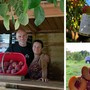 Monate e le sue pesche sciroppate. L'azienda Bina sul campo da tre generazioni: «Facciamo tutto a mano e con passione, il sapore dei "perzic" è unico e inconfondibile» Monate e le sue pesche sciroppate. L'azienda Bina sul campo da tre generazioni: «Facciamo tutto a mano e con passione, il sapore dei "perzic" è unico e inconfondibile»
