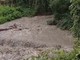 Maltempo in alta Valle Ellero, chiuse le prese dell'acquedotto: "Acqua solo per usi strettamente necessari" Maltempo in alta Valle Ellero, chiuse le prese dell'acquedotto: "Acqua solo per usi strettamente necessari"